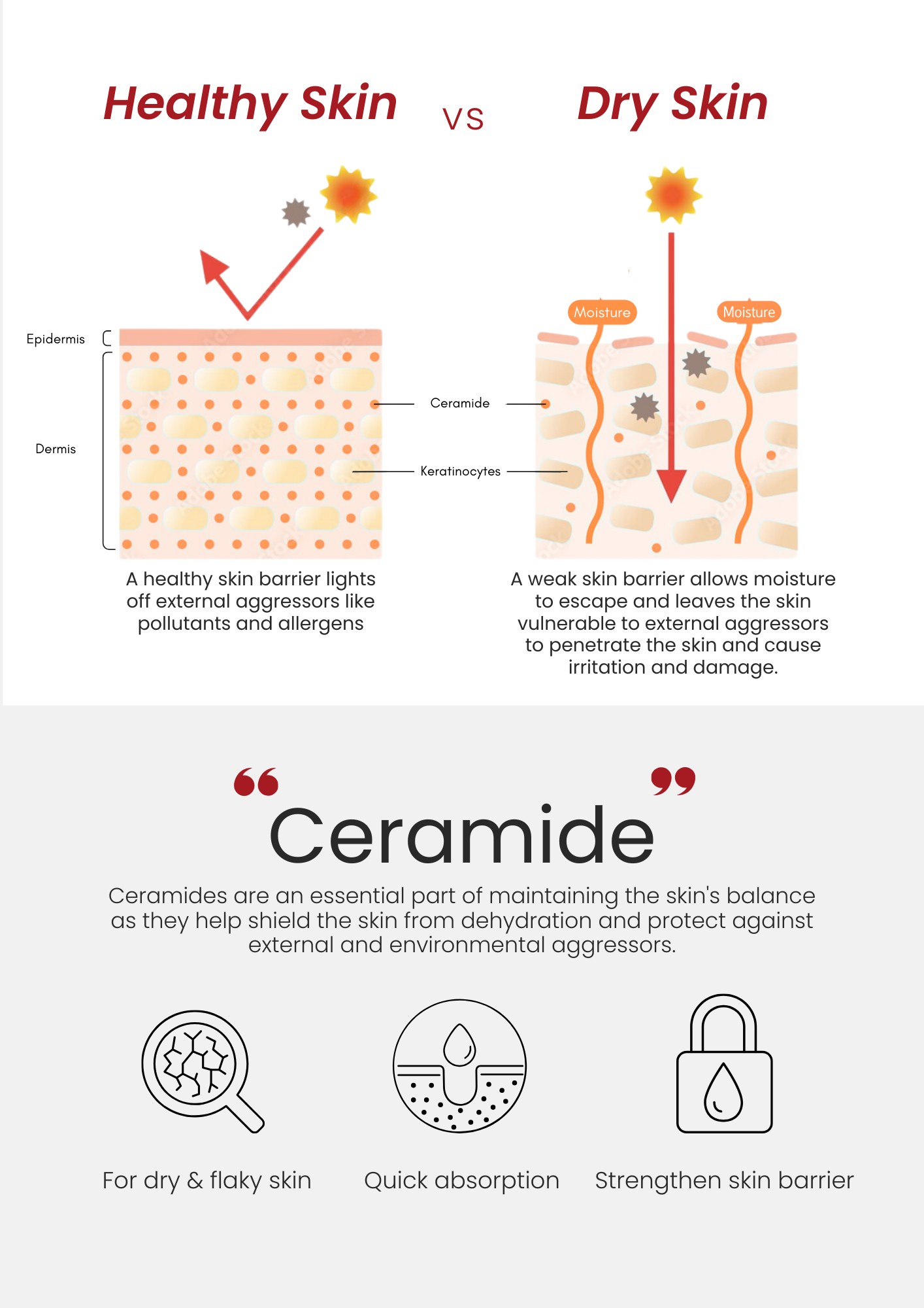 CERAMIDE CONCENTRATE 50ML